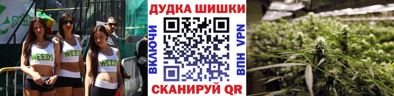 Где найти наркотики Карачаевск Бошки Шишки  Альфа ПВП  Cocaine  Гашиш  Мефедрон 