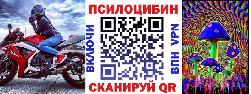 блэк спрут онион  Карачаевск  Псилоцибиновые грибы Magic Shrooms 