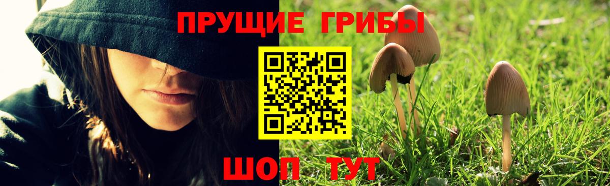Карачаевск  Псилоцибиновые грибы мухоморы  Галлюциногенные грибы мицелий  Вход с VPN 