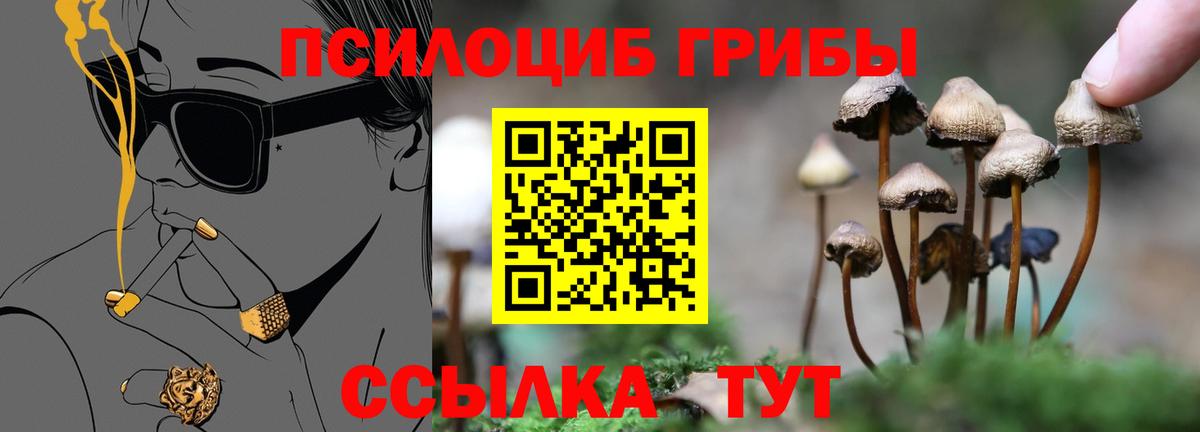 Галлюциногенные грибы прущие грибы Карачаевск